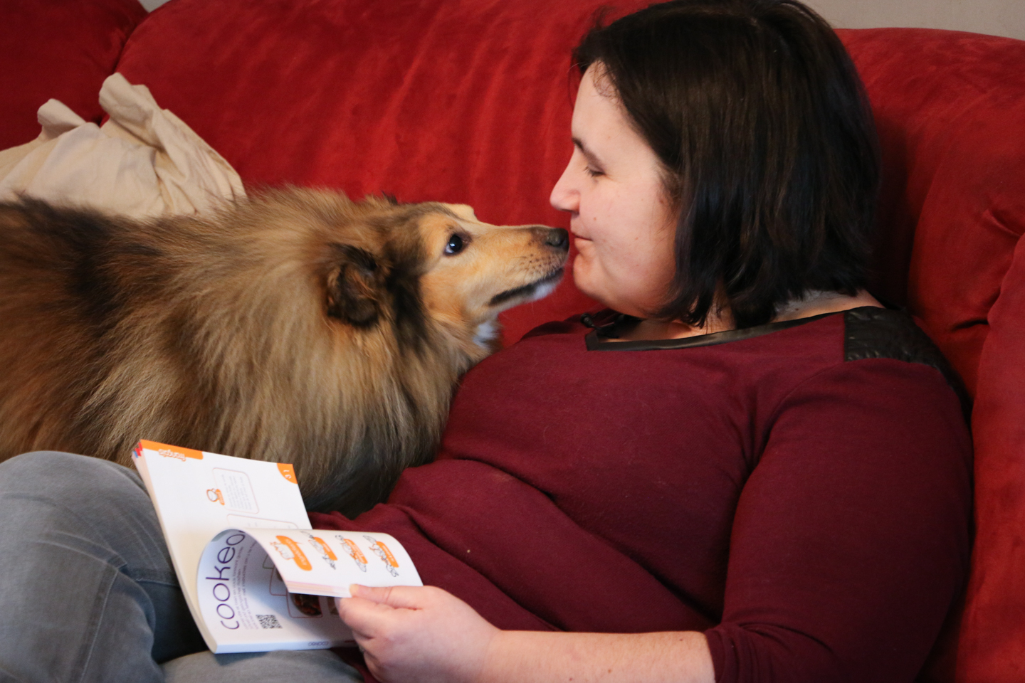 Le chien Fonzy, compagnon animal de Céline, atteinte d'un lymphome
